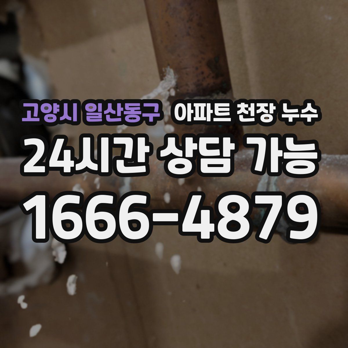 고양시 일산동구 아파트 천장 누수