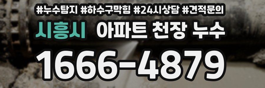 시흥시 아파트 천장 누수