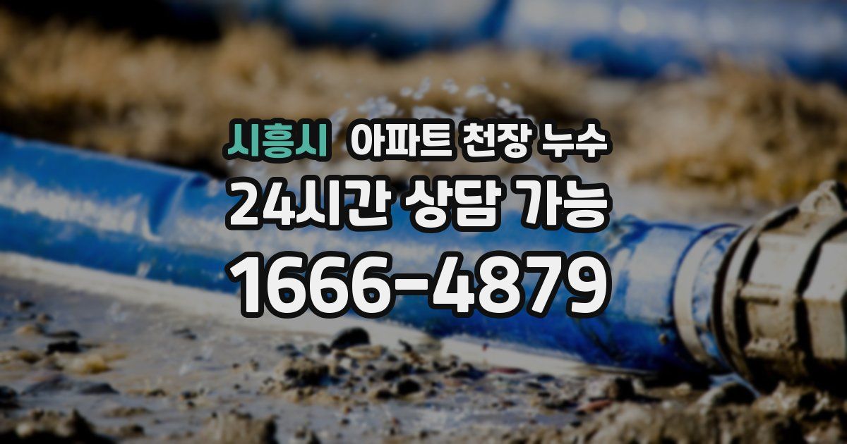 시흥시 아파트 천장 누수