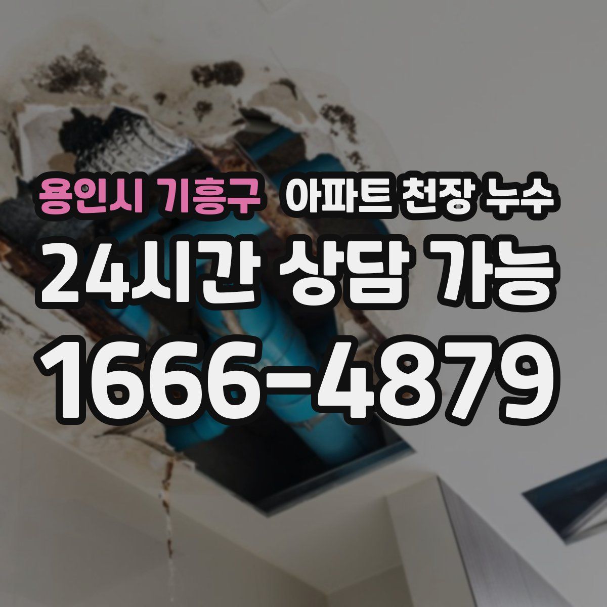 용인시 기흥구 아파트 천장 누수