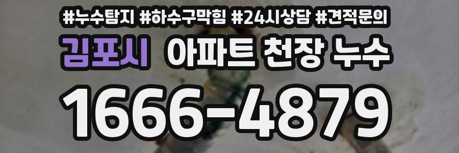 김포시 아파트 천장 누수