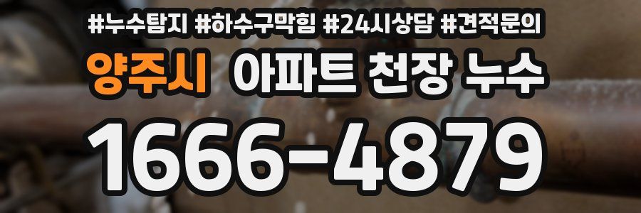양주시 아파트 천장 누수