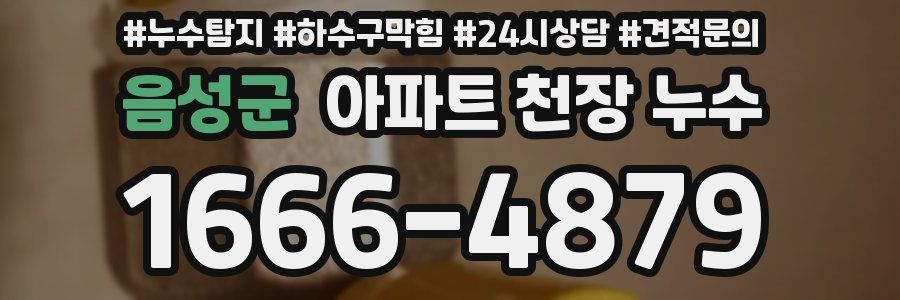 음성군 아파트 천장 누수