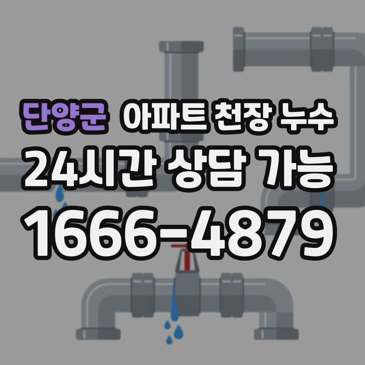 단양군 아파트 천장 누수