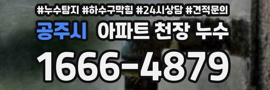 공주시 아파트 천장 누수