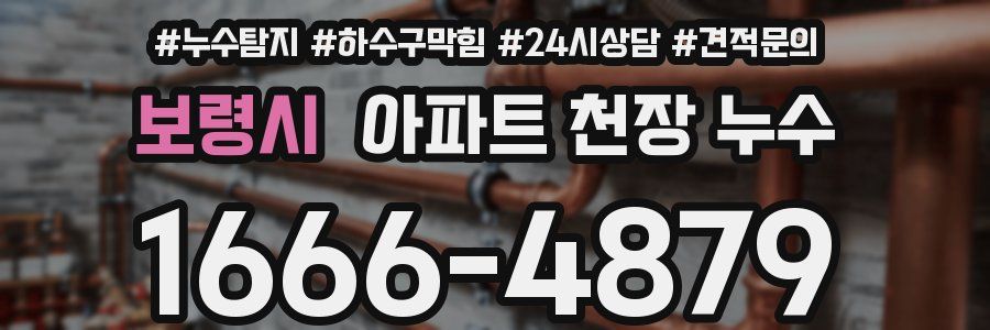 보령시 아파트 천장 누수