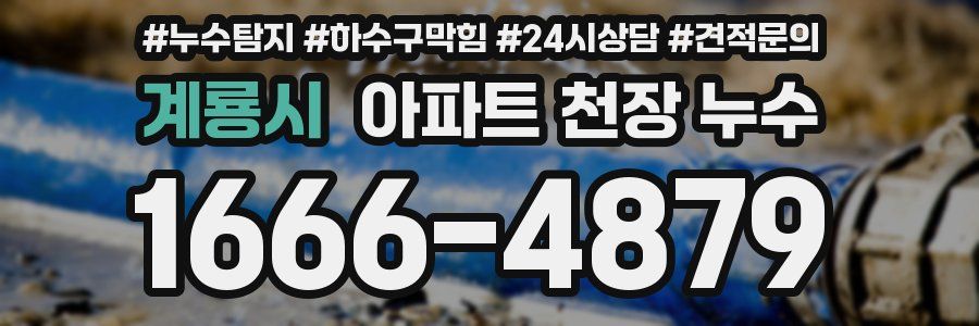 계룡시 아파트 천장 누수