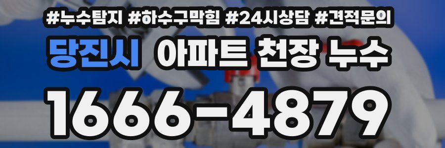 당진시 아파트 천장 누수