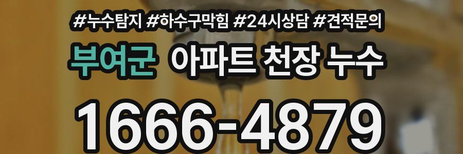 부여군 아파트 천장 누수