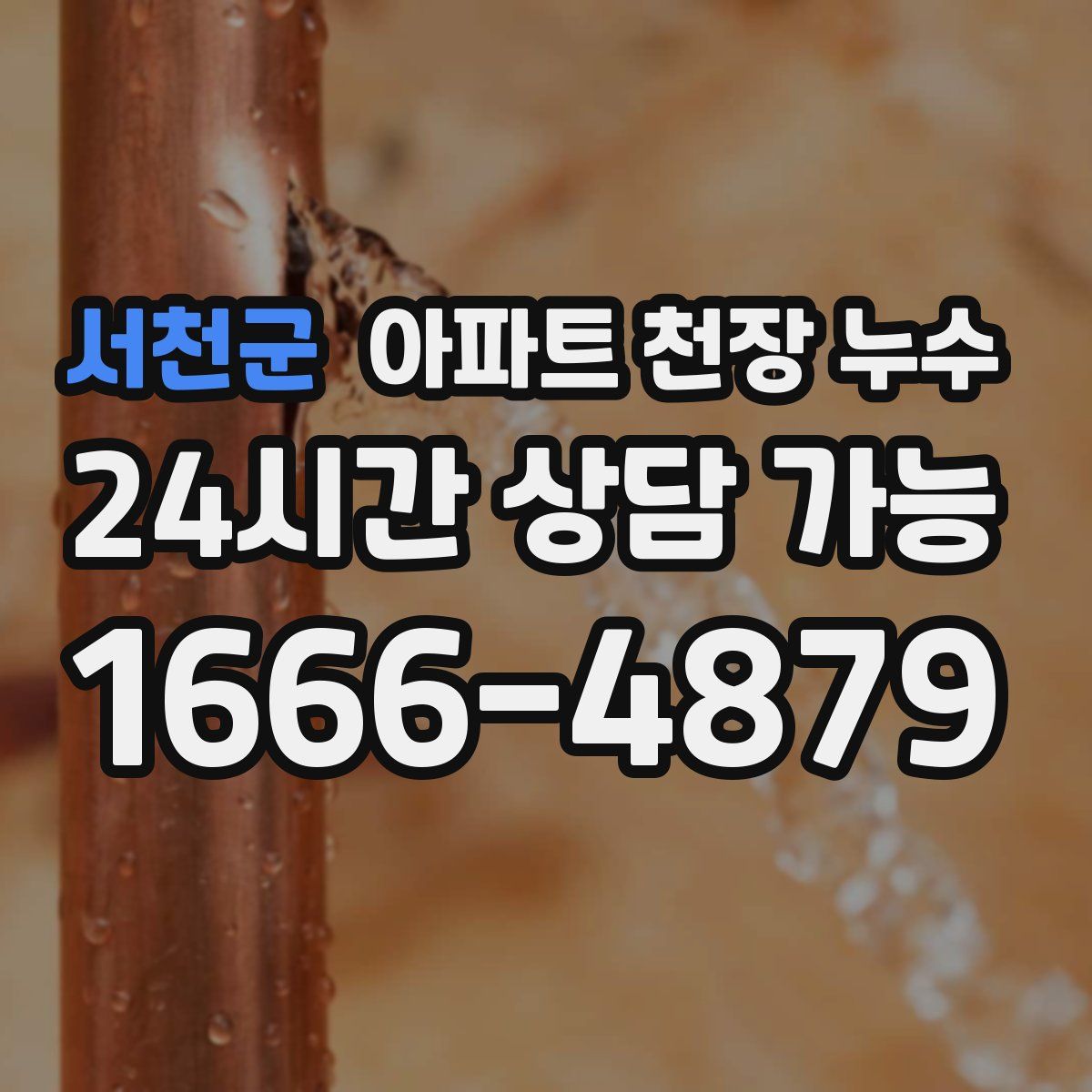 서천군 아파트 천장 누수
