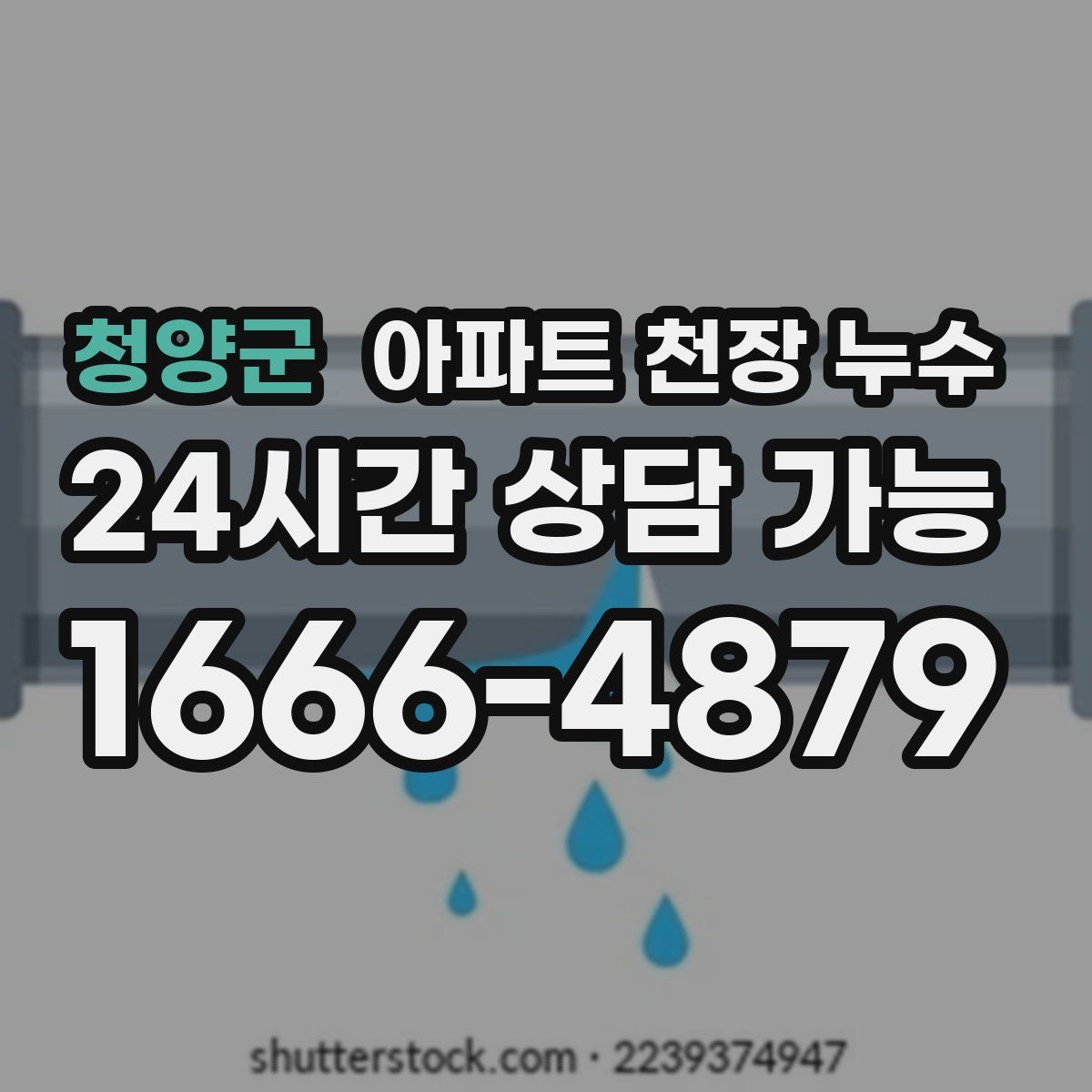 청양군 아파트 천장 누수