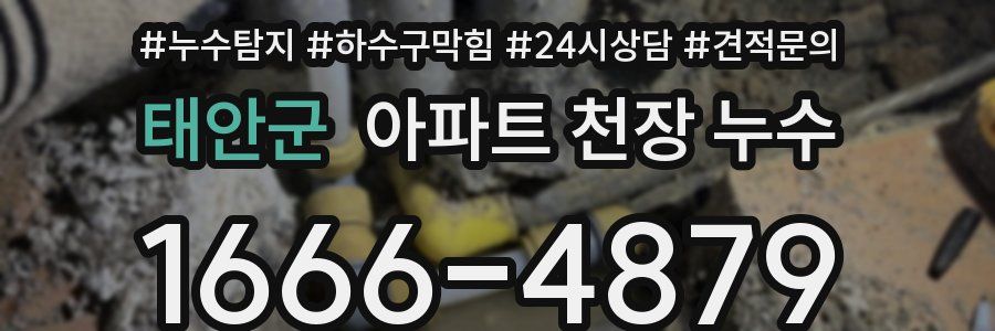 태안군 아파트 천장 누수