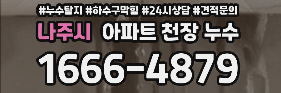 나주시 아파트 천장 누수