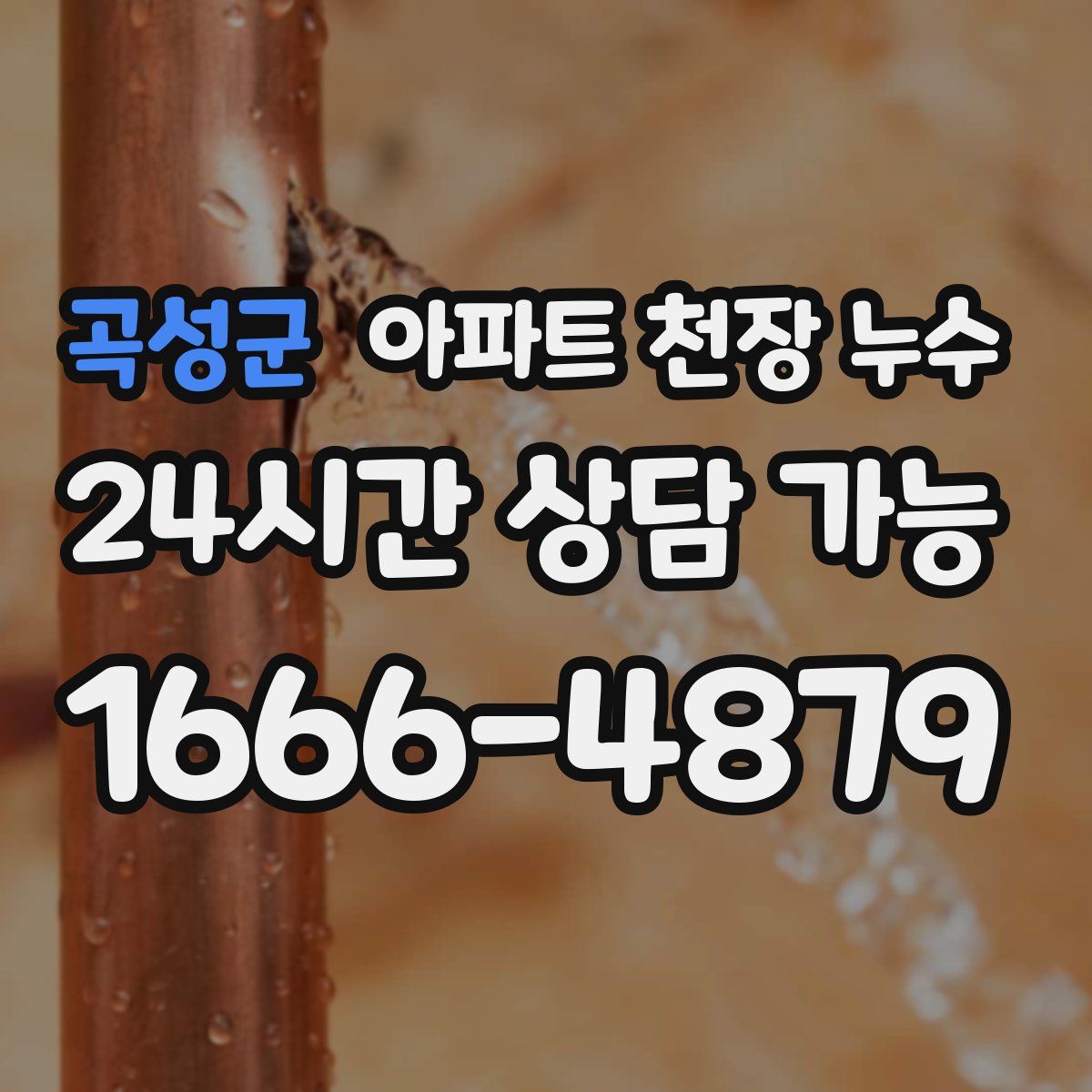 곡성군 아파트 천장 누수