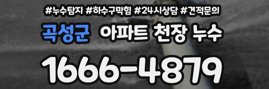 곡성군 아파트 천장 누수