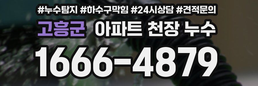 고흥군 아파트 천장 누수