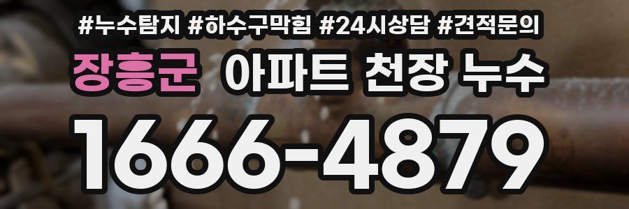 장흥군 아파트 천장 누수