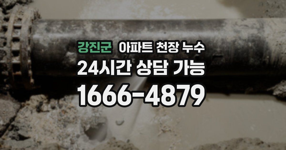 강진군 아파트 천장 누수