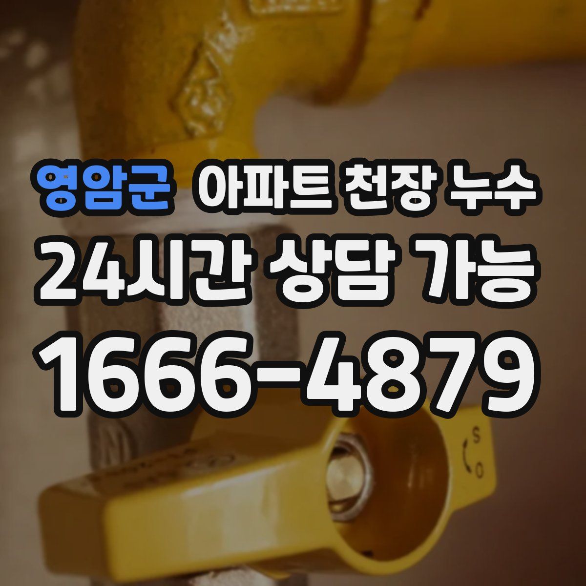 영암군 아파트 천장 누수
