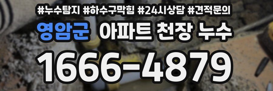 영암군 아파트 천장 누수