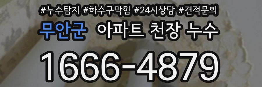 무안군 아파트 천장 누수