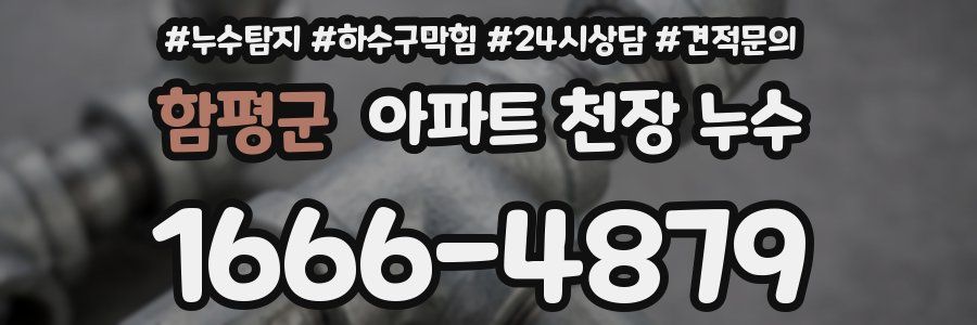 함평군 아파트 천장 누수