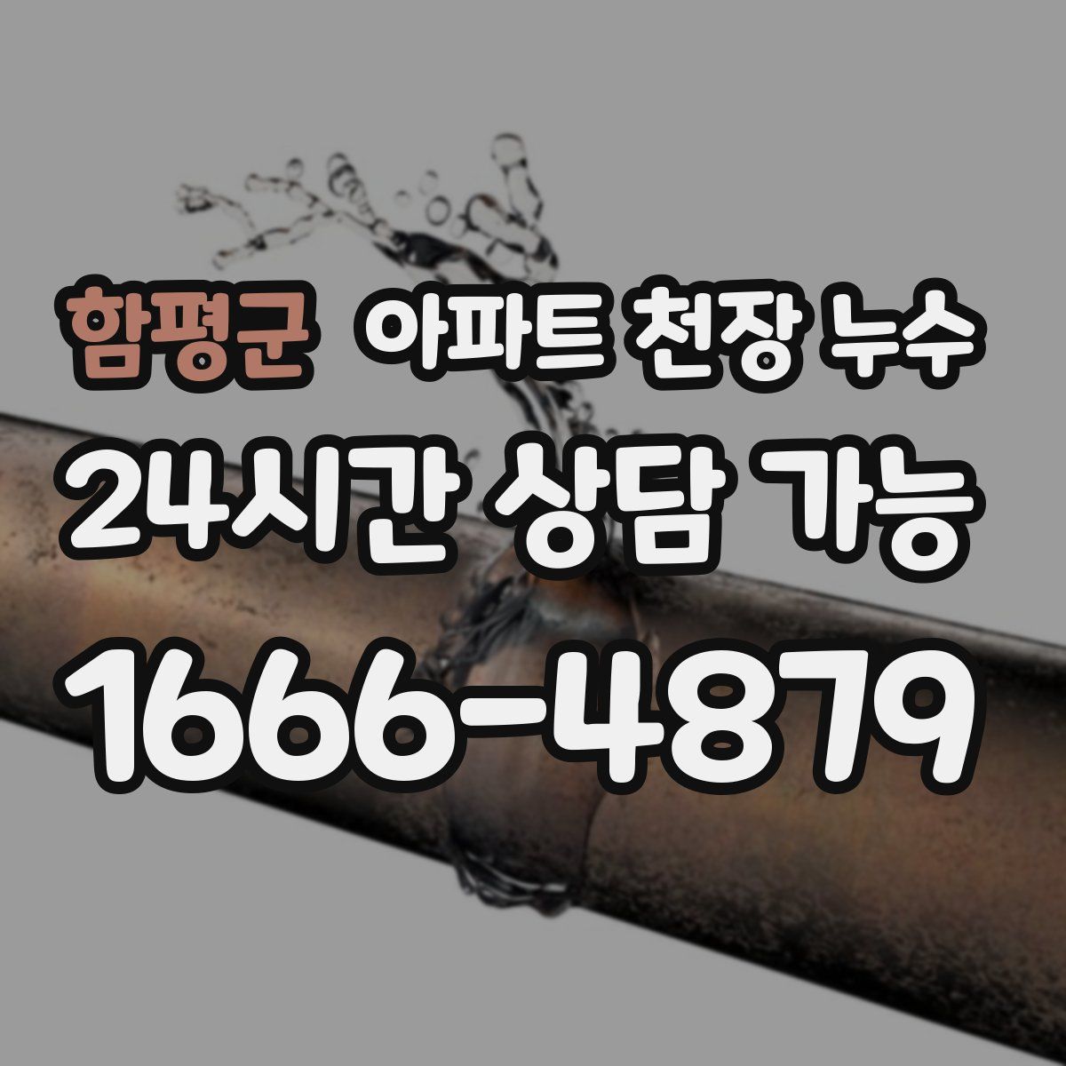 함평군 아파트 천장 누수
