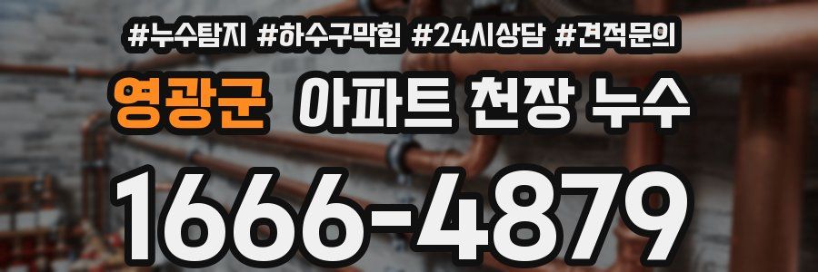 영광군 아파트 천장 누수