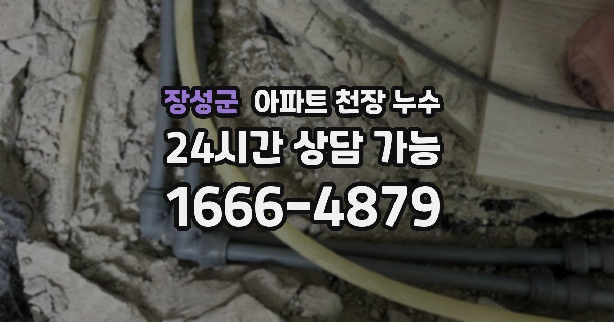 장성군 아파트 천장 누수
