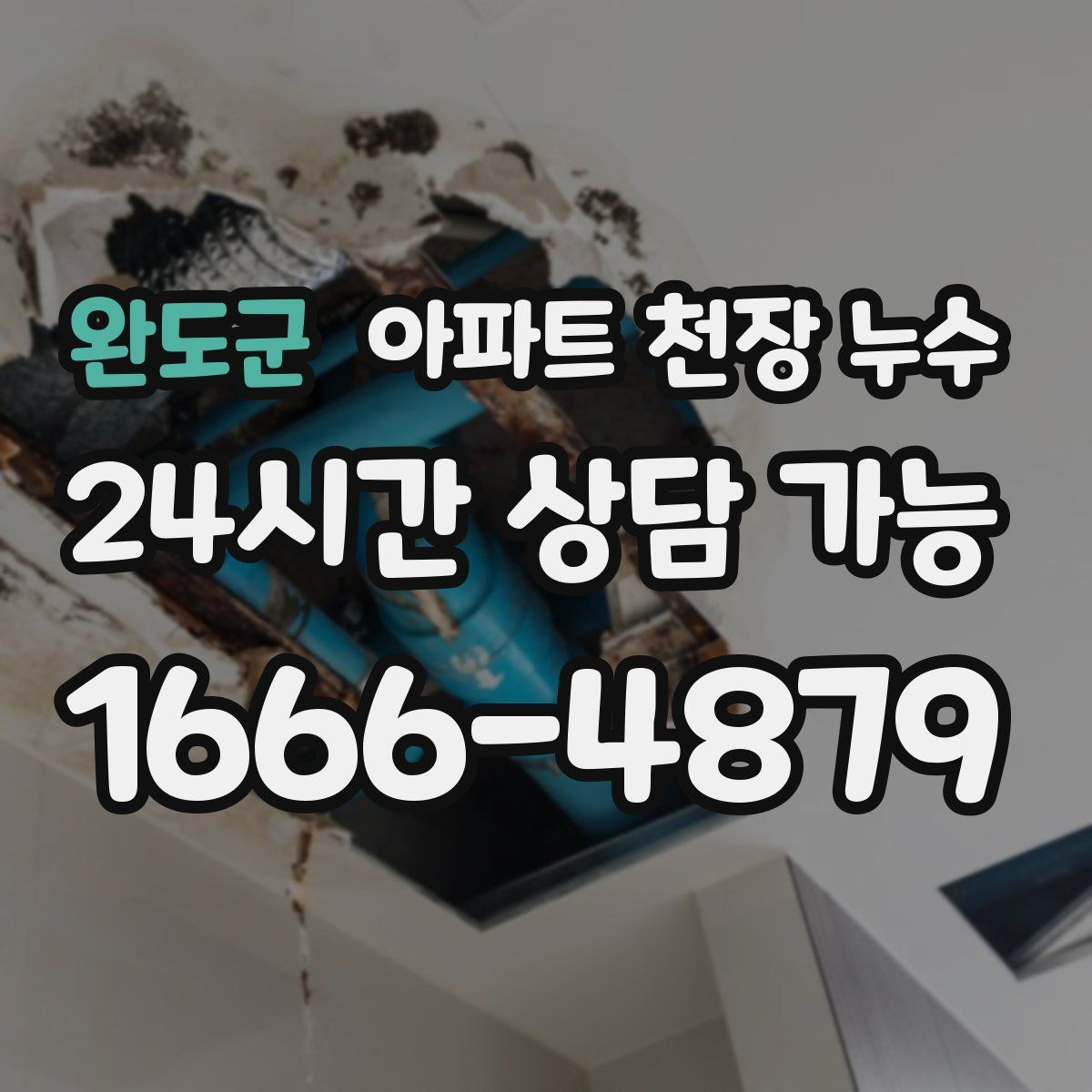 완도군 아파트 천장 누수