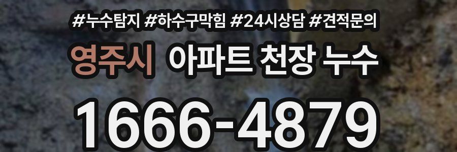 영주시 아파트 천장 누수