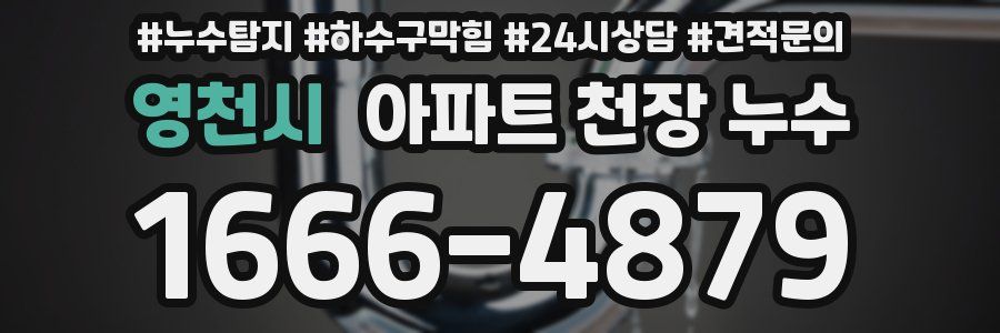 영천시 아파트 천장 누수