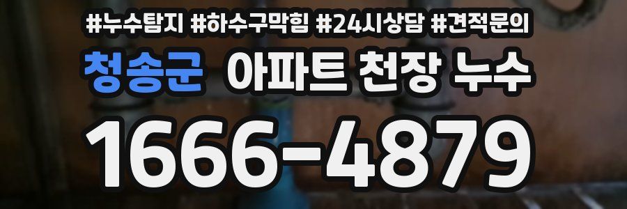 청송군 아파트 천장 누수