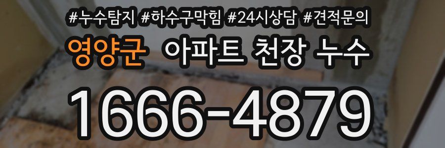 영양군 아파트 천장 누수