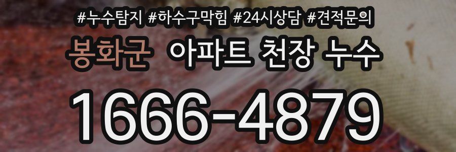 봉화군 아파트 천장 누수