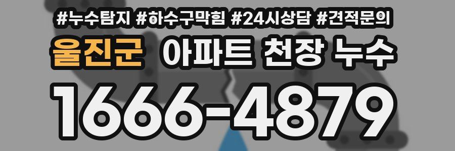 울진군 아파트 천장 누수