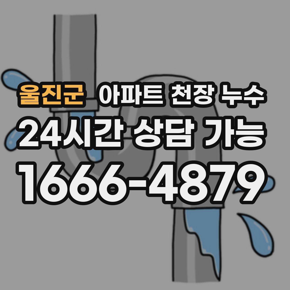 울진군 아파트 천장 누수