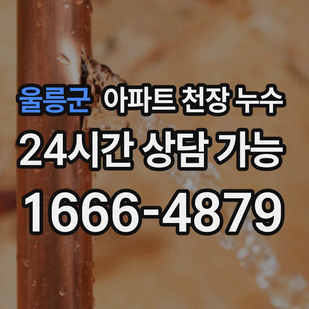 울릉군 아파트 천장 누수