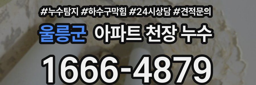 울릉군 아파트 천장 누수