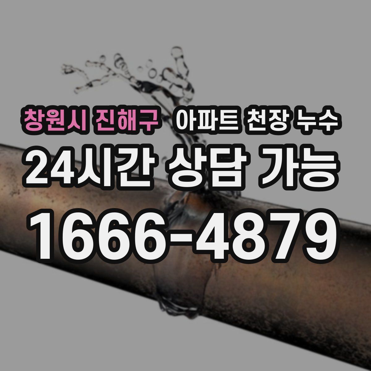 창원시 진해구 아파트 천장 누수