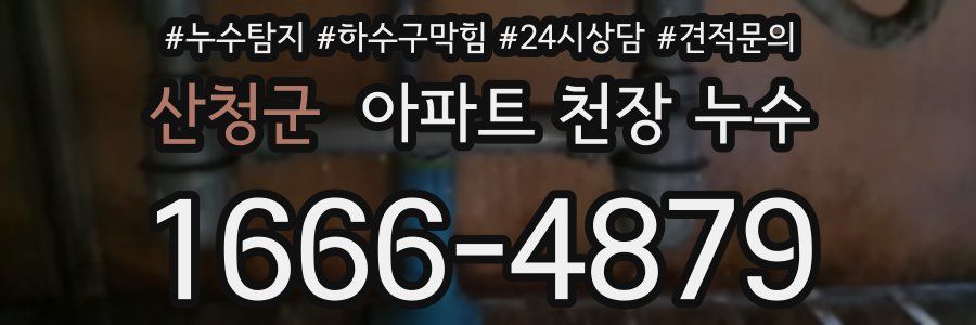 산청군 아파트 천장 누수