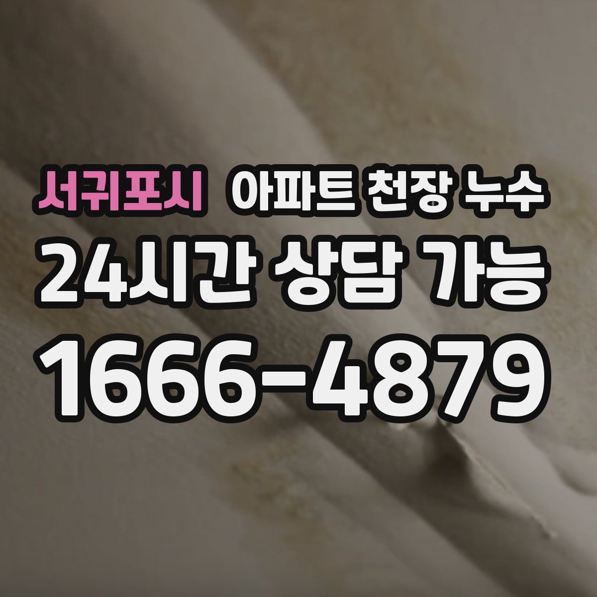 서귀포시 아파트 천장 누수