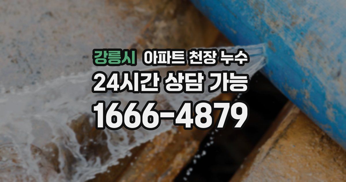 강릉시 아파트 천장 누수