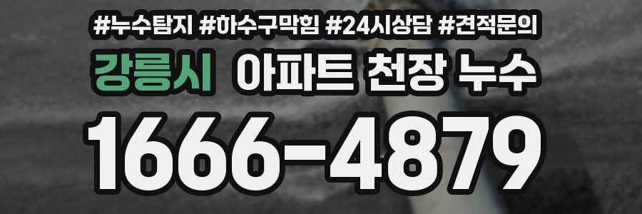 강릉시 아파트 천장 누수