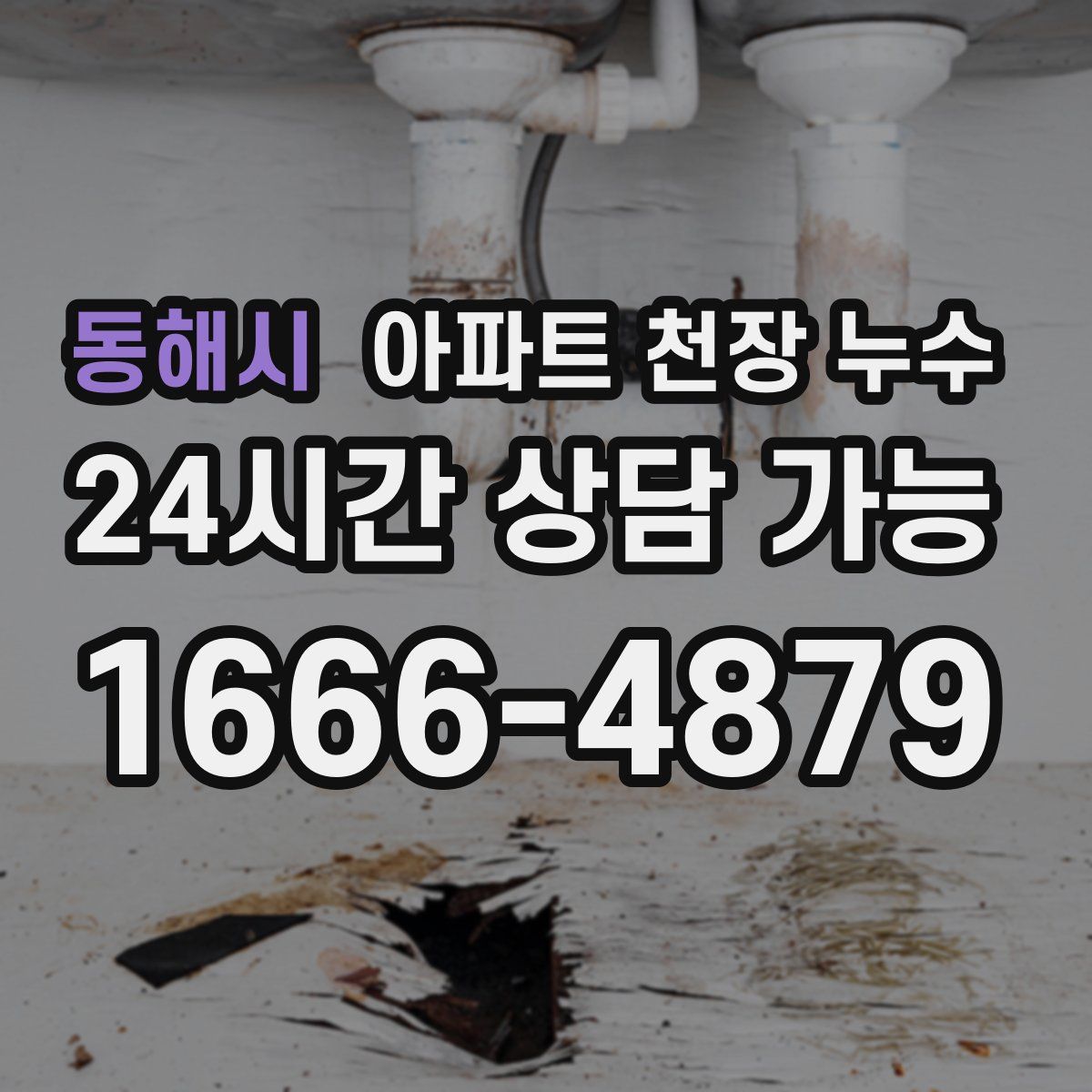 동해시 아파트 천장 누수