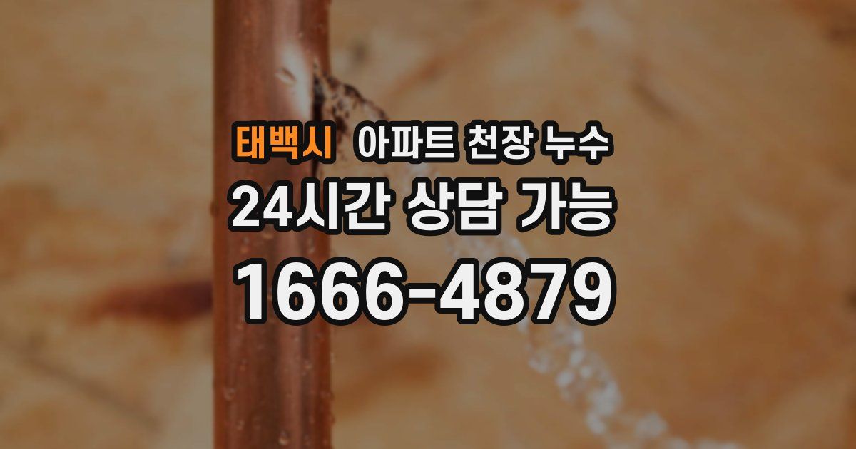 태백시 아파트 천장 누수
