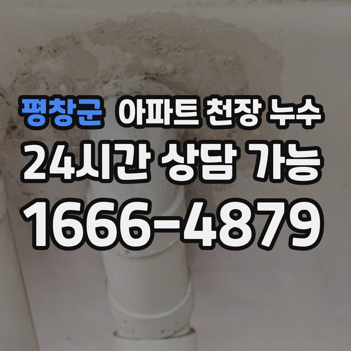 평창군 아파트 천장 누수