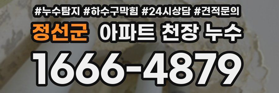 정선군 아파트 천장 누수