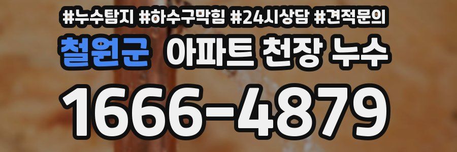 철원군 아파트 천장 누수