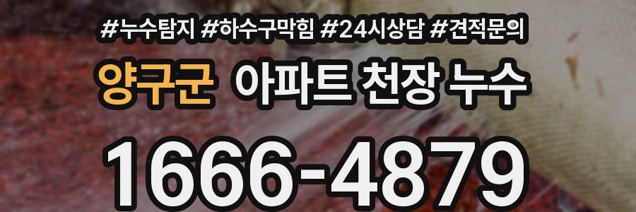 양구군 아파트 천장 누수